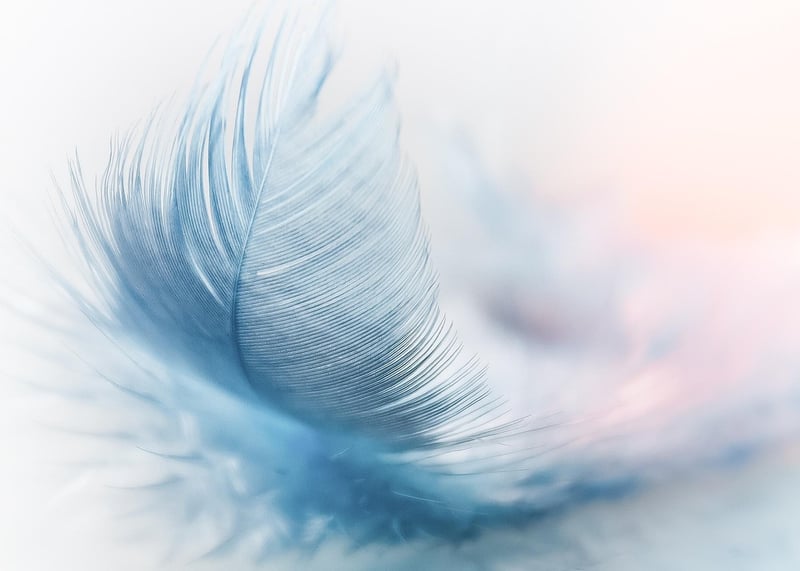 Feather and Ink